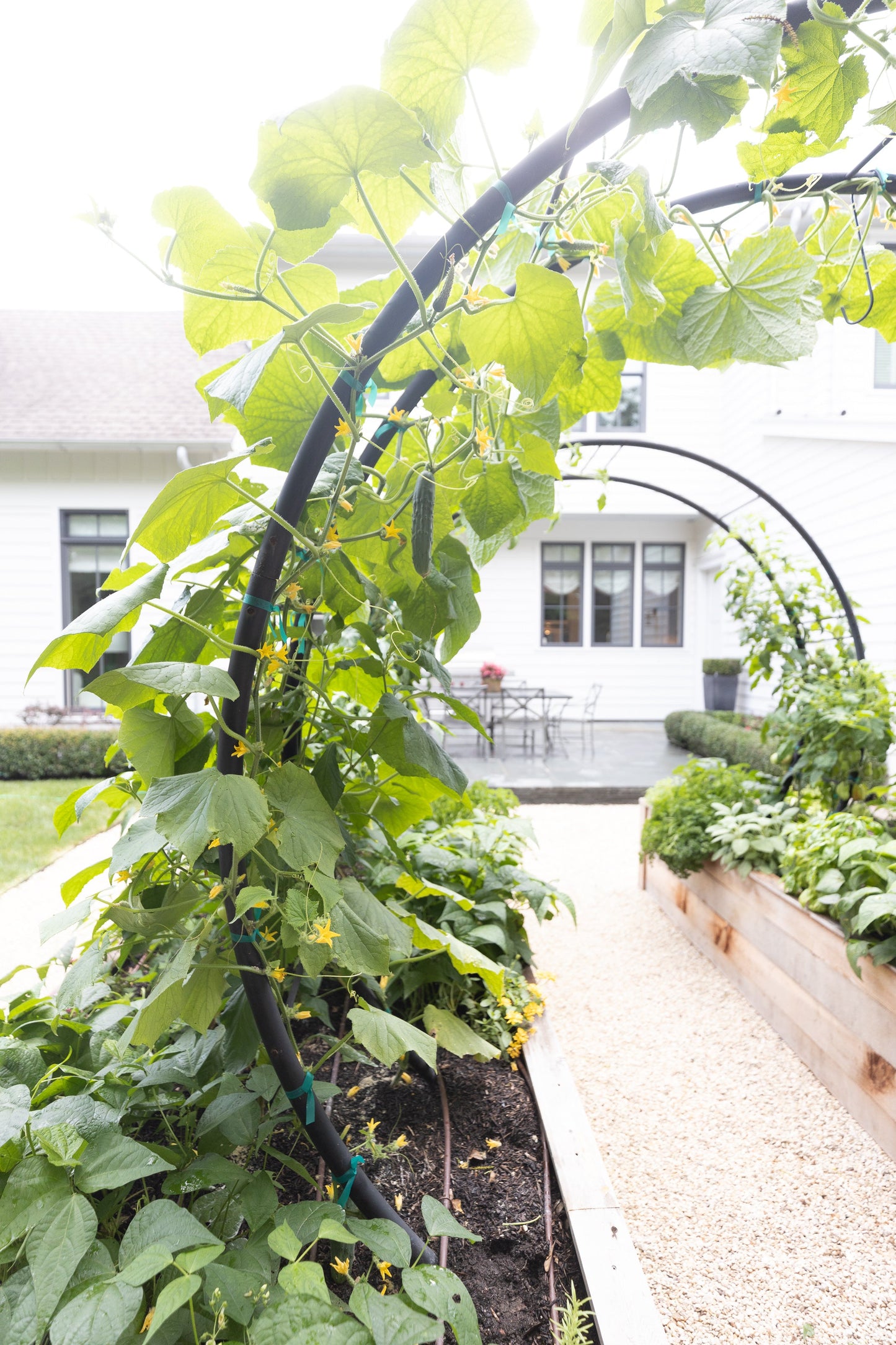 Modern Arch Trellis
