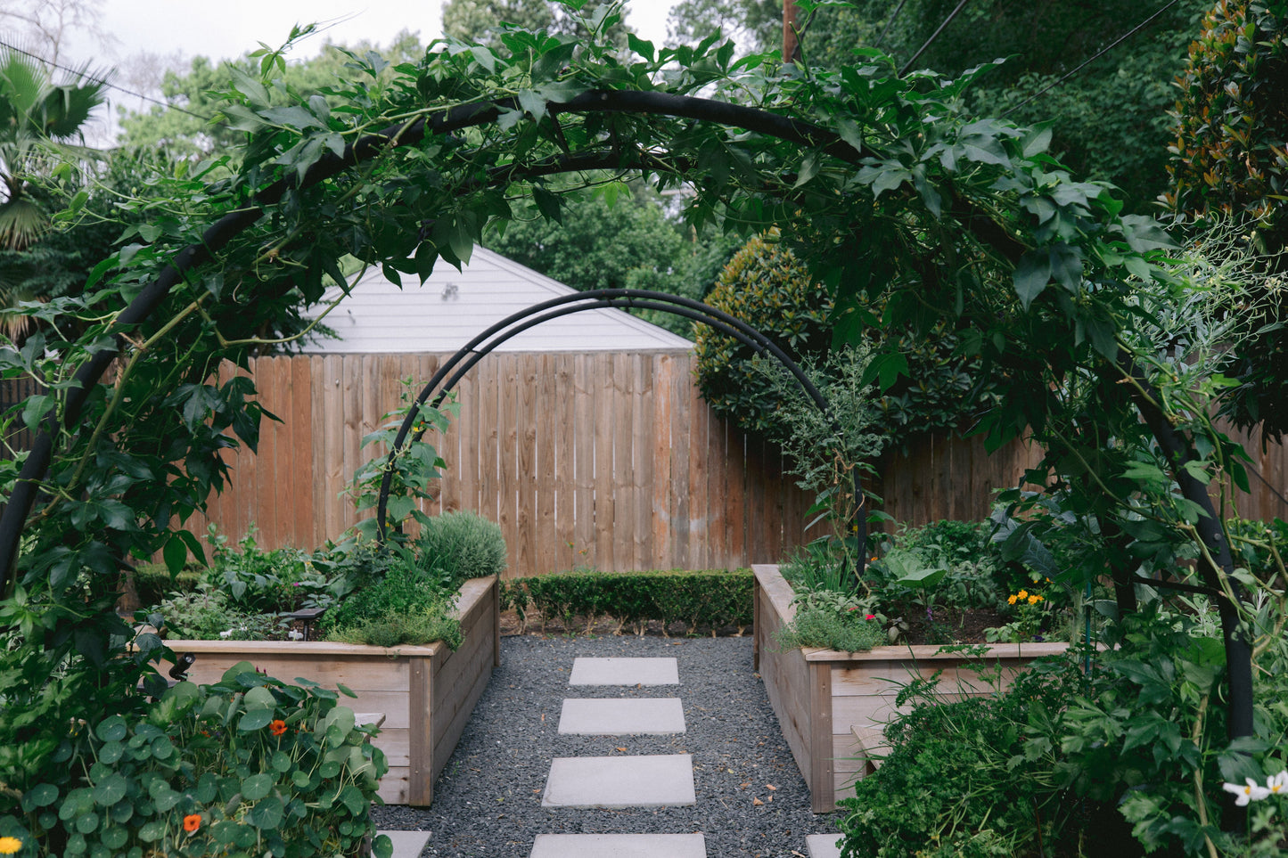 Modern Arch Trellis