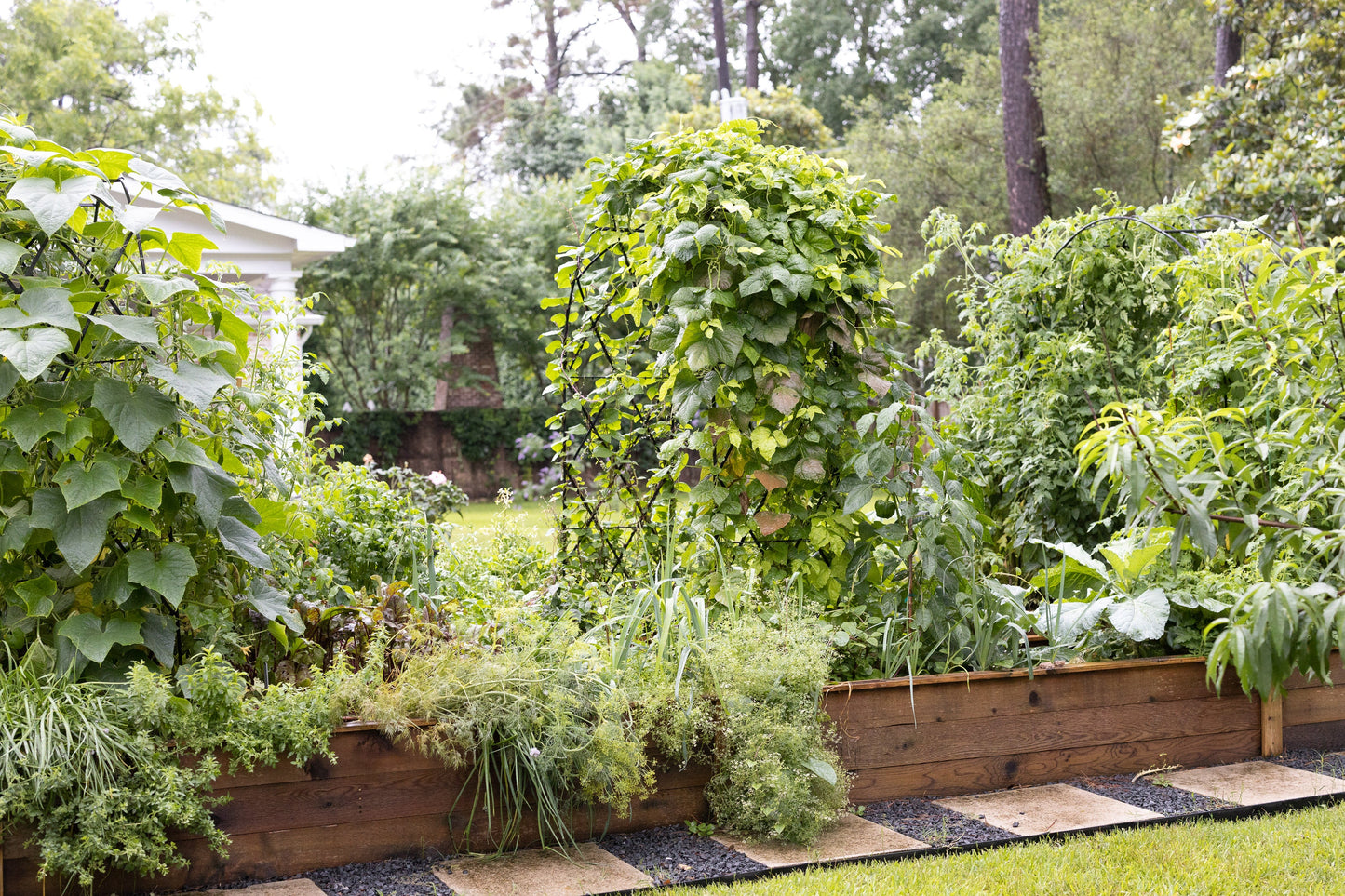 Traditional Diamond Rounded Arch Trellis