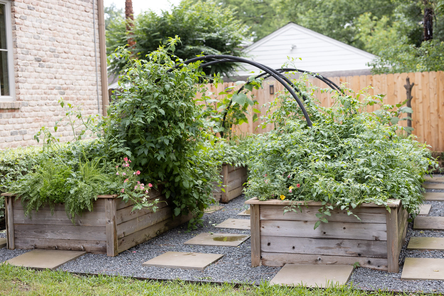 Modern Arch Trellis