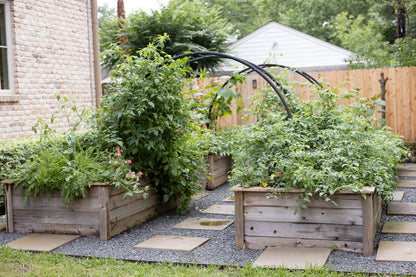 Modern Arch Trellis