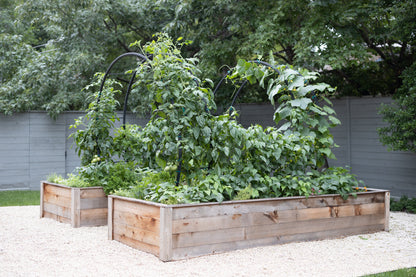 Modern Arch Trellis