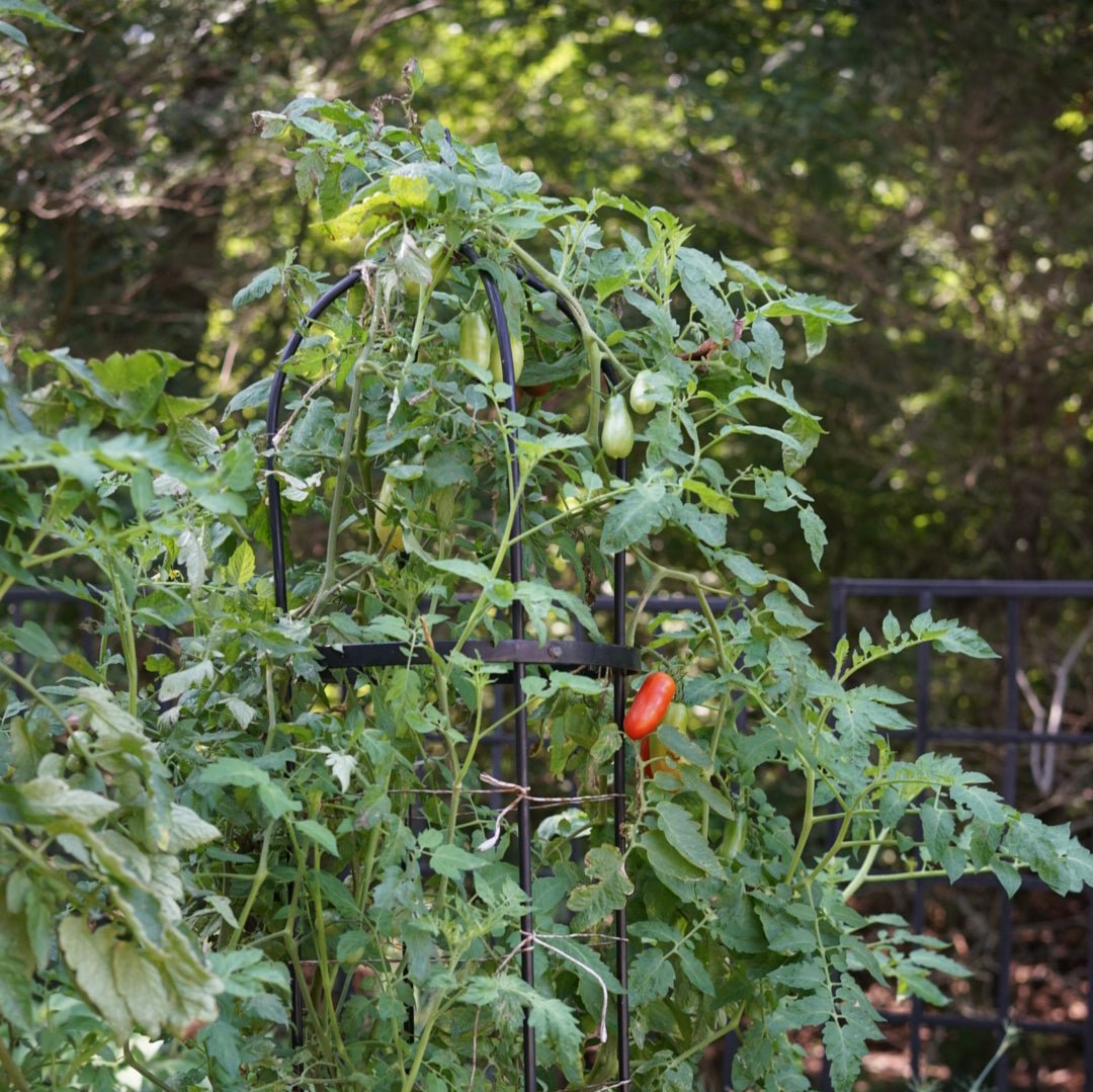 Wide Pillar Obelisk Trellis Kit