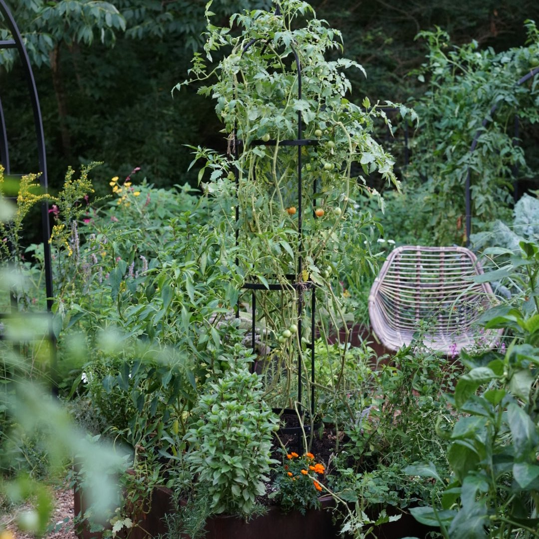 Wide Pillar Obelisk Trellis Kit