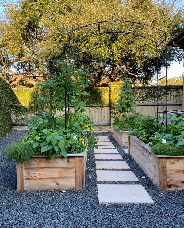 A vegetable garden border