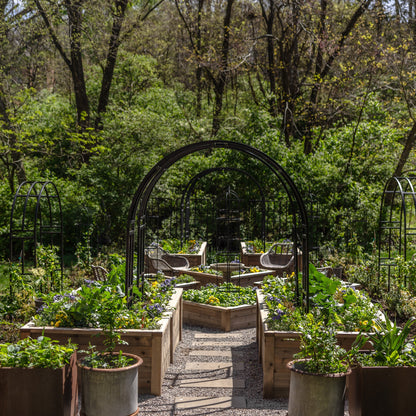 Nicole Arch Trellis
