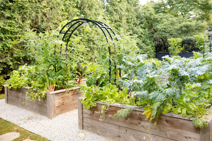 Nicole Arch Trellis