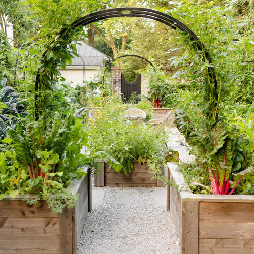 Nicole Arch Trellis