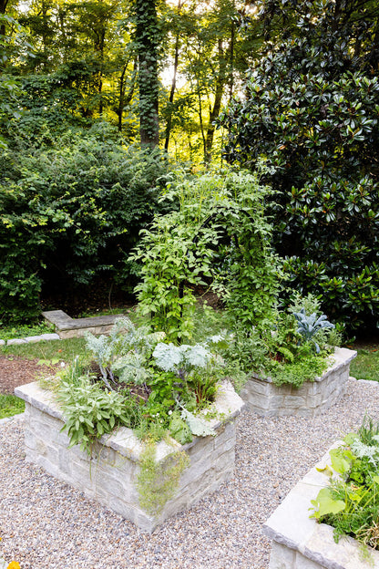 Nicole Arch Trellis
