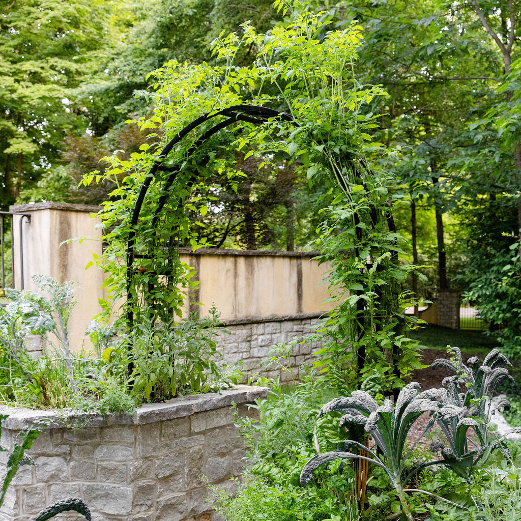 Nicole Arch Trellis