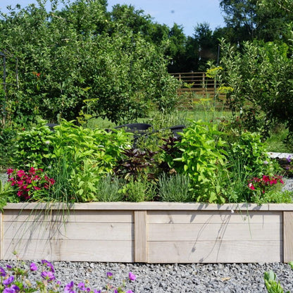 Gardenary Cedar Raised Garden Beds with Trim
