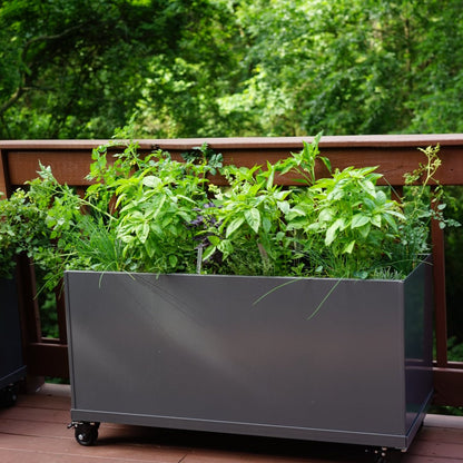 Aluminum Raised Bed (Optional Casters or Tray)