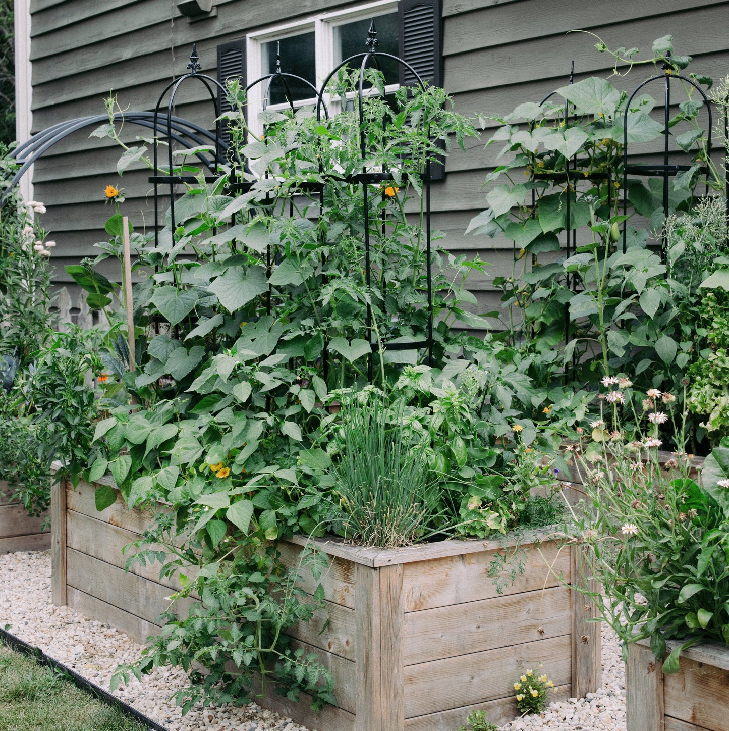 Wide Pillar Obelisk Trellis Kit